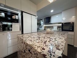 The Terrace (D19), Condominium #574109501